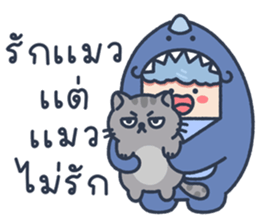 ลายที่ 33