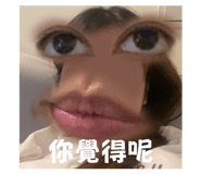 827092629
