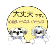 827109226