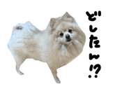 827139787