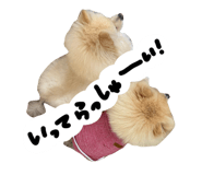 827139793