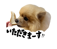 827139796