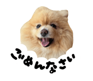 827139800