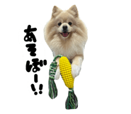 827139802