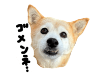 827139803