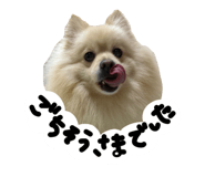 827139807