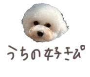 827141808