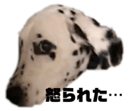827147268