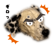 827147270
