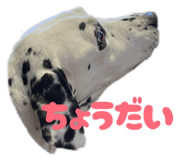 827147275