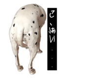 827147277