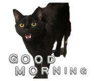 827150727