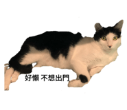 827150738
