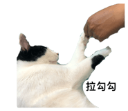 827150739
