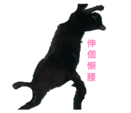 827150740