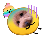 827172204