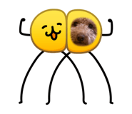 827172205
