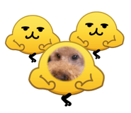 827172207