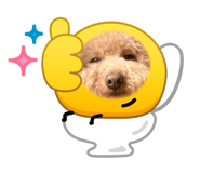 827172209