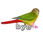 827173049