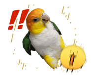 827173054
