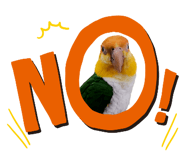 827173057