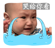 827173533