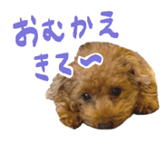 827177542