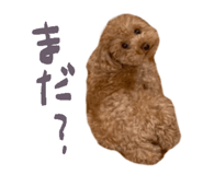 827177567