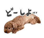 827177573