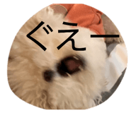 827183881