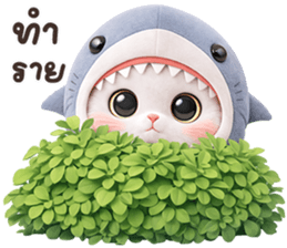 ลายที่ 33