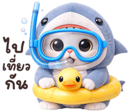 ลายที่ 47