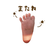 827184429