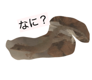 827186209