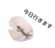 827186216