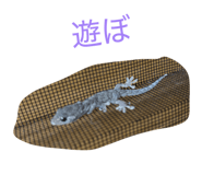 827186221