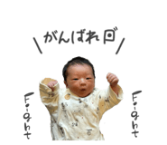 827198585
