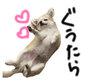 827203983