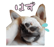 827205425