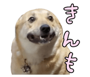 827205426