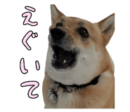 827205431