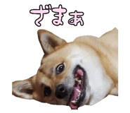 827205432