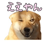 827205435