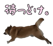 827205437
