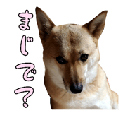 827205438