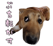 827205440