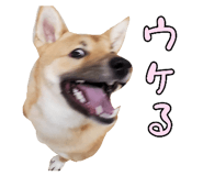 827205441