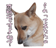 827205442