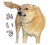827205458